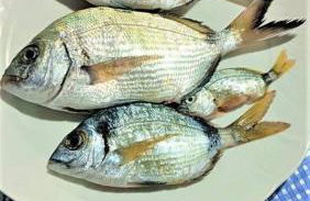 La Pergola di Pomonte - Foto 24