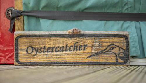 Oystercatcher - Foto 2