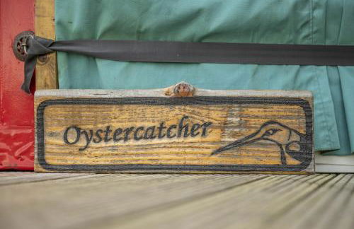 Oystercatcher - Foto 2