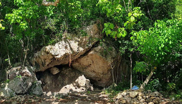 Tour por el Parque Nacional Cotubanamá - Foto 2, Sendero dentro del parque