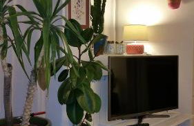 Cristina' s flat - Foto 5