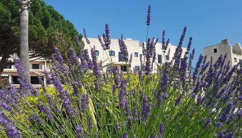 Magnifique 2 pièces vue port et mer - Foto 3