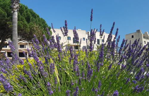 Magnifique 2 pièces vue port et mer - Foto 3