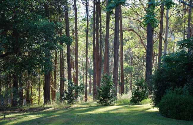 Wildside Sanctuary - Foto 27
