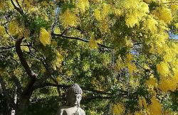 Castel'lodge - Foto 36