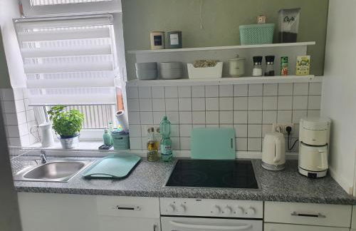Große, familienfreundliche Ferienwohnung, ruhig im Zentrum von Güstrow - Foto 14