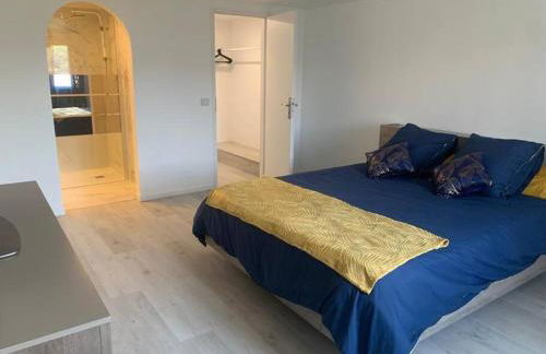 Villa Paradis - Cannes - Foto 15