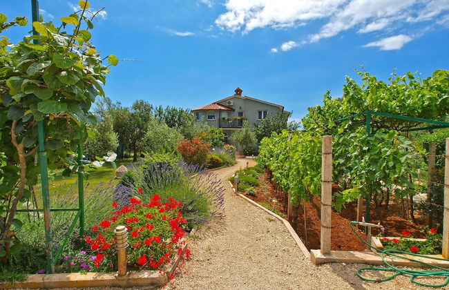 Apartments Daffodils 1002 - Foto 43