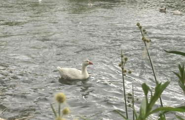 La Escapada - Foto 42