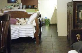 Window To The Aegean - Foto 29