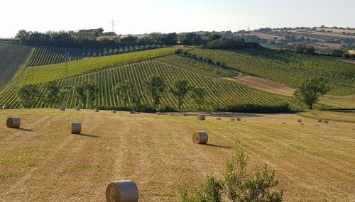 Agriturismo bio Verde Armonia - Photo 4, Garden view