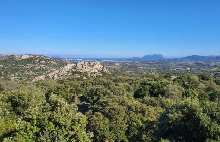 Belvedere Country House - Foto 17