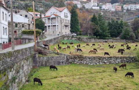 Casa da Cantareira - Foto 9