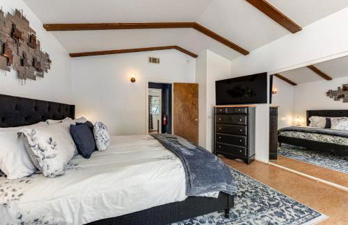 Blue Bird Beauty - Foto 15