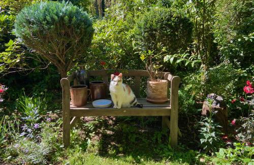 Studio im Haus Amselgarten - Foto 20