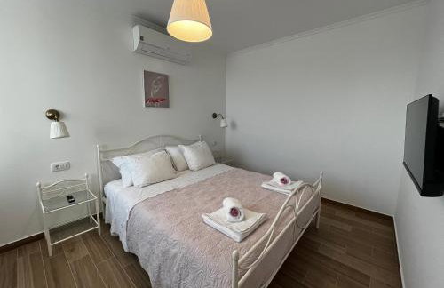 Pekasovi Seaview Apartament on a beautiful island Krapanj - Foto 19