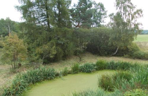 Ferienhof Zollfrank - Foto 58