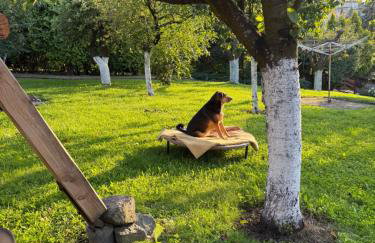 Apartament Skórcz Kociewie Pomorze Gdańskie Agroturystyka - Foto 3