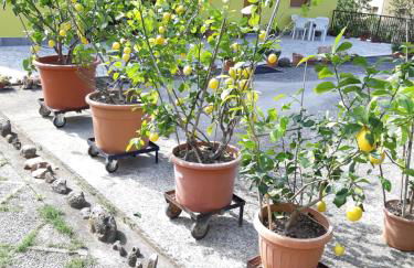 Casa Gli Ulivi - Foto 31