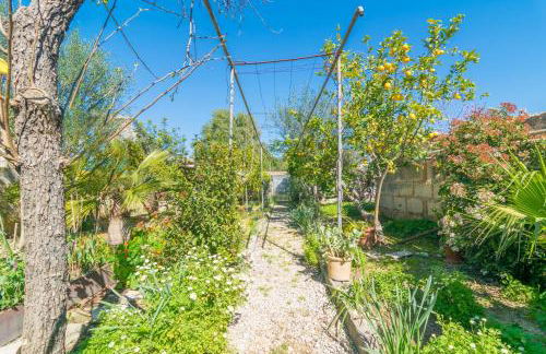 Construcciones Balaguer - Foto 44