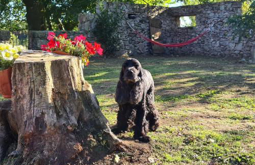 Casas Quo Vadis -Azul - Foto 18