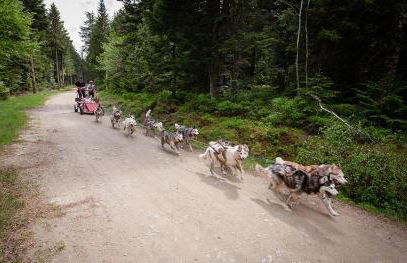 Balneo & Ciné - Jungle Touch - Direct Genève - Gare Bellegarde - Foto 20