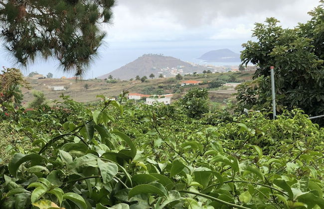 Los Viejitos en Firgas - Foto 70