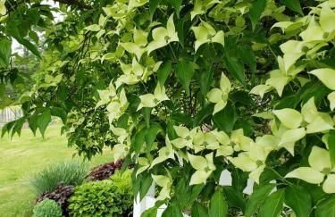 New- Farm view-Winter escape with cozy fireplace - Foto 52