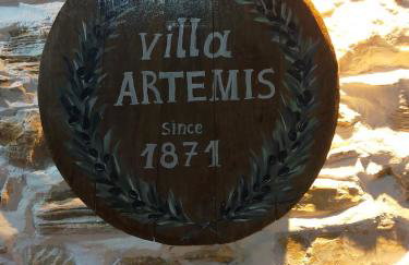 ΑΡΧΟΝΤΙΚΟ ΑΡΤΕΜΙΣ-Villa Artemis since 1871 - Foto 36