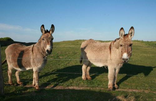Gîte la brêche des chars - Foto 11