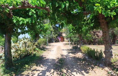 Mas Estivill-Modernist country house near Salou-Port Aventura - Foto 4