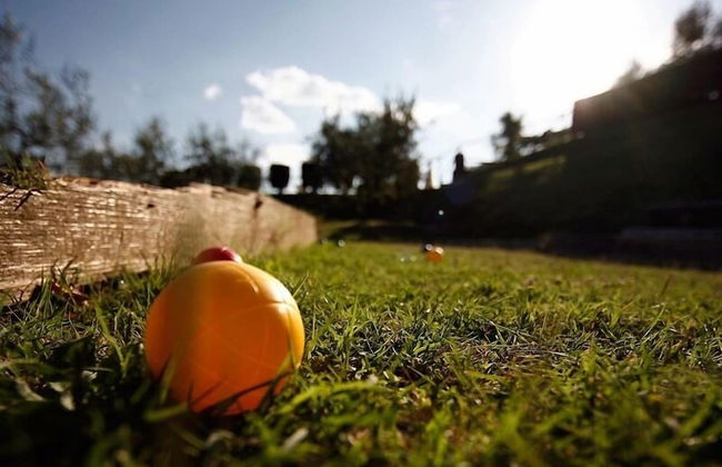 Agriturismo Sanguineto - Photo 64