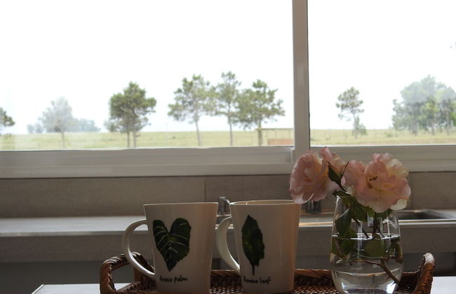 Ventarrón - Photo 25