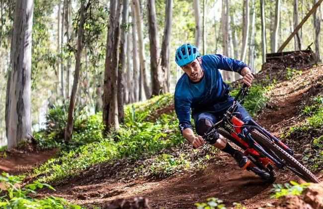 Granetal.quartier-apartment Bocksberg - Photo 15