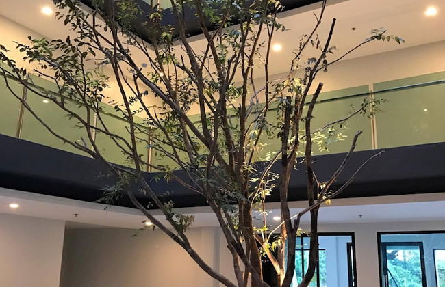 The Heaven at Star Hill Condo - Foto 56