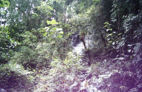 Sítio Recanto do Araçá - Foto 68