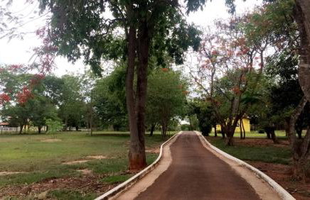 Pousada das Palmeiras - Foto 12