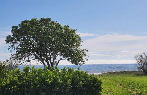 Mini villa au bord de la mer, proche Moriani (Corse) - Foto 16