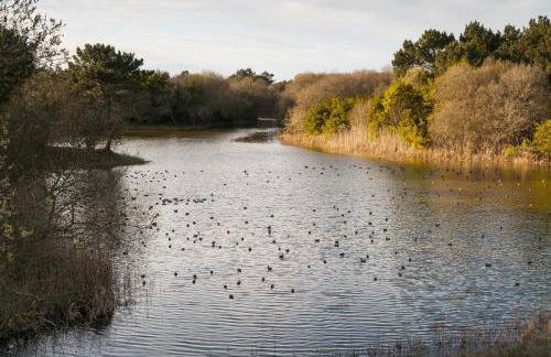 Puro São Jacinto - Foto 19