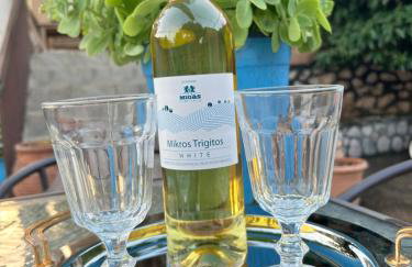 Gellis Village house Meteora - Foto 17