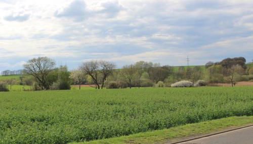 Schöne 1-Zimmer Wohnung mit Boxspringbett & Küche - Photo 4