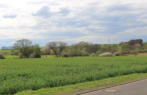 Schöne 1-Zimmer Wohnung mit Boxspringbett & Küche - Photo 4