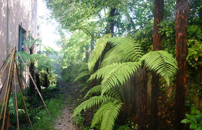 Sherborne Motor Lodge - Foto 42