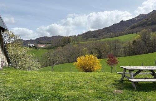 Le Pradima - Photo 17