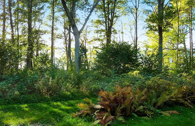 4 Person Holiday Home in Braas-by Traum - Foto 20