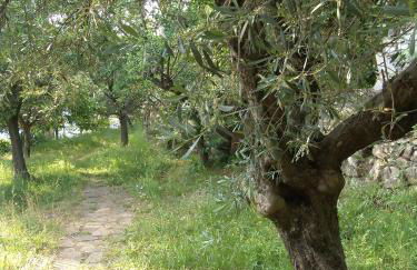 Luxury Easy Living in Framura - Foto 60