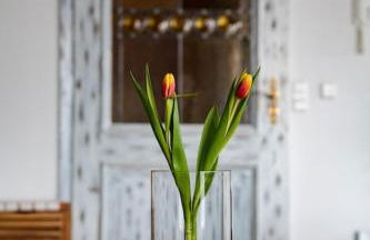 Ferienwohnung Finke 2 - Foto 6