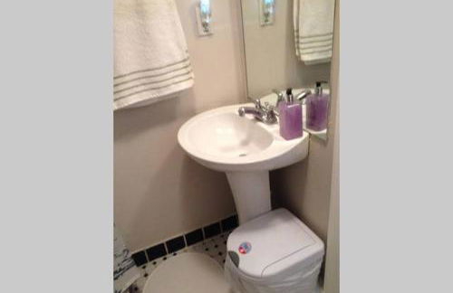 The Wild Rose - Foto 20