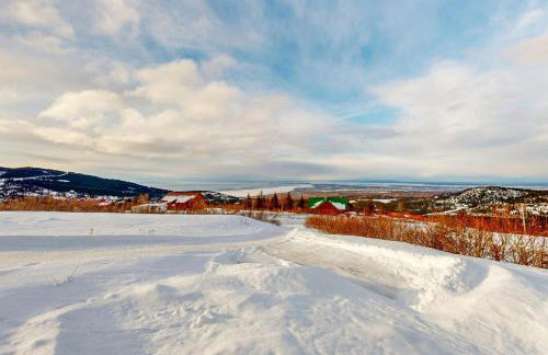 Little Black Bear - Foto 16