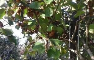 Agriturismo Il Giardino - Photo 43